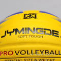 Leer binnen dames strandvolleybal